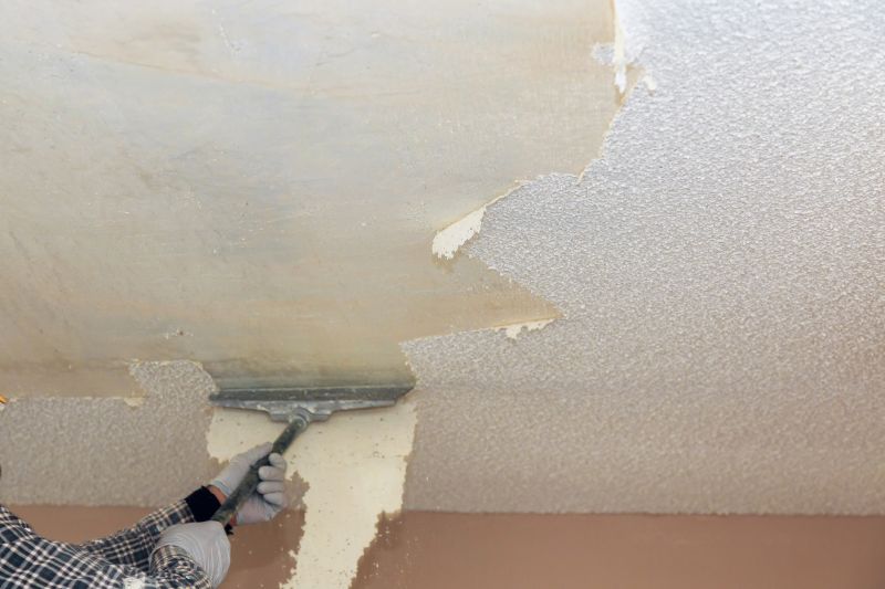Textured Ceiling Removal Service