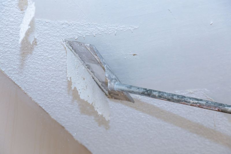 Stipple Ceiling Removal