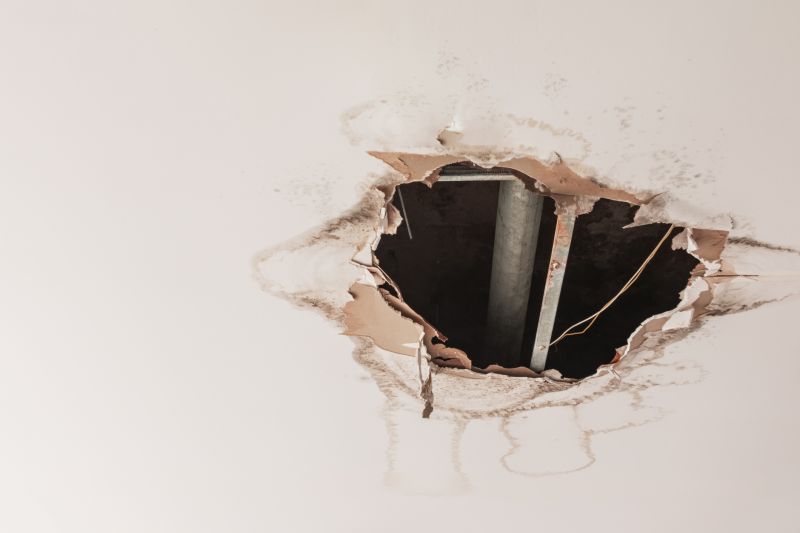 Ceiling Repair Service in Wilmington, NC