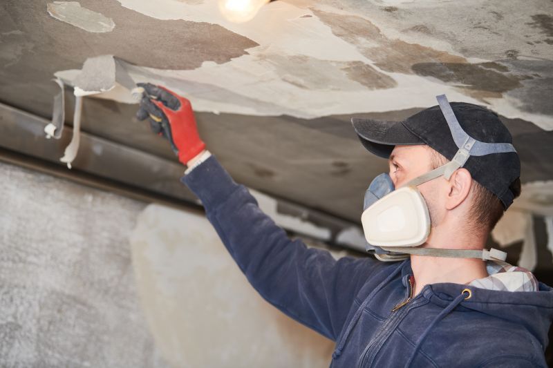 Ceiling Restoration Experts